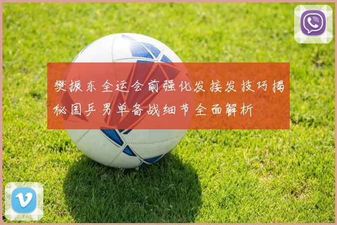 樊振东全运会前强化发接发技巧揭秘国乒男单备战细节全面解析